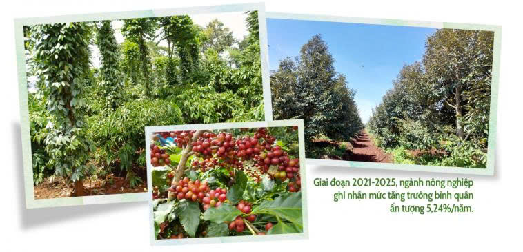 bệ đỡ 3
